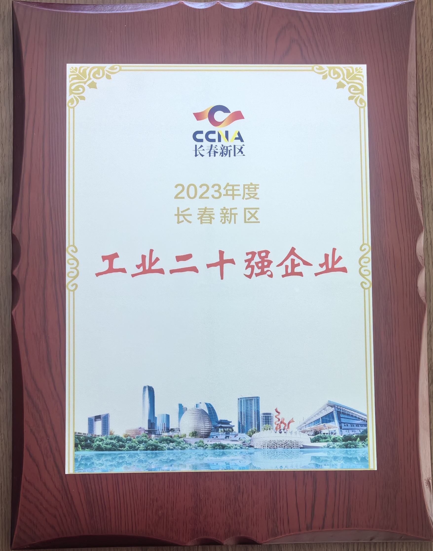 2. 新能源奇迹部吃瓜91李尔电器——2023年新区财产20强企业照片.jpg